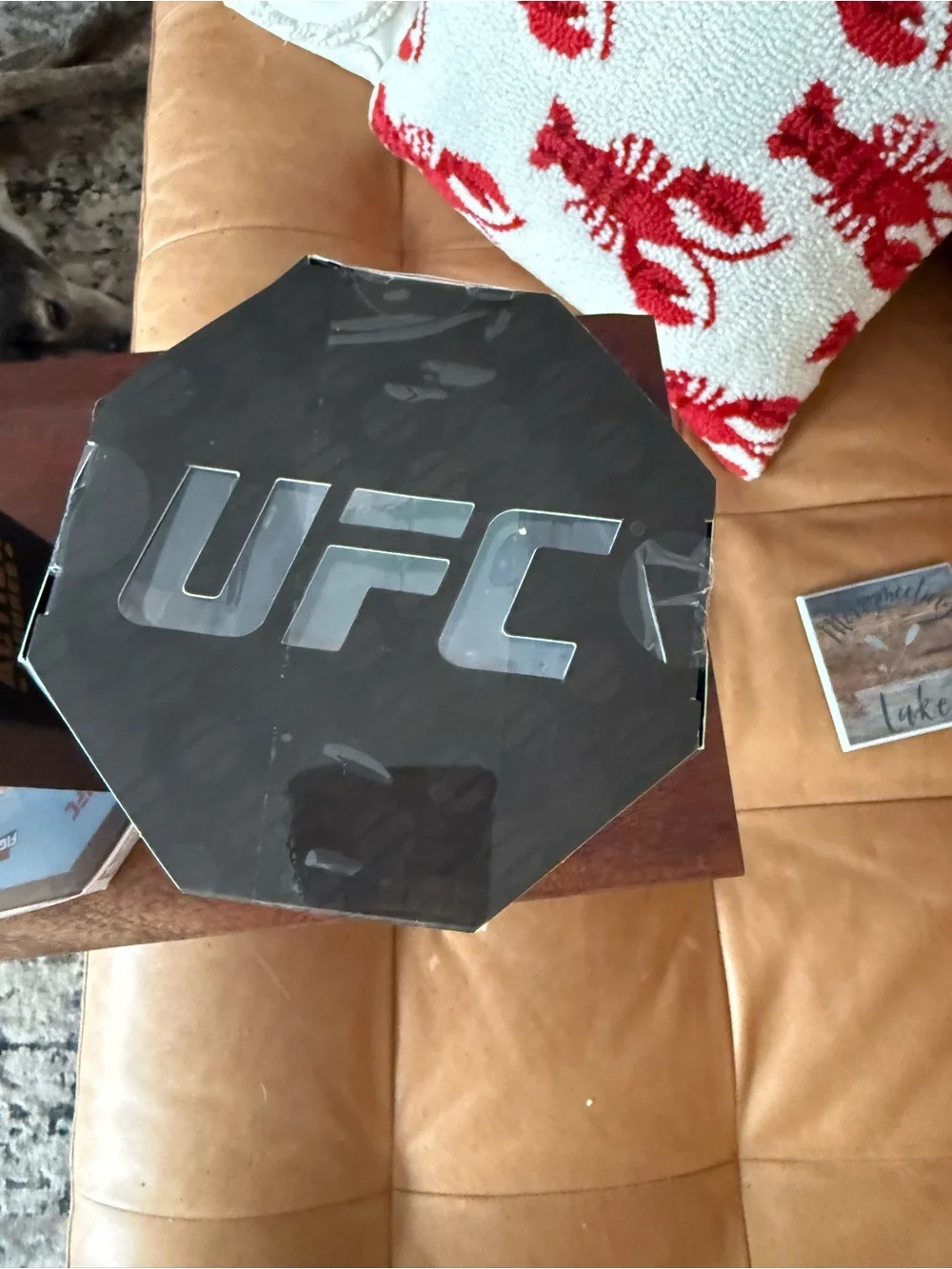 (2-Pack) UFC Connor “The Notorious” McGregor Octagon Fighter - New/Damaged Box